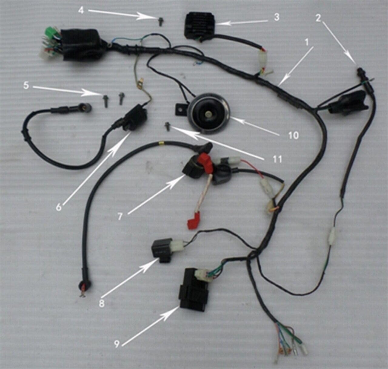 Amazon.com: RPS Hawk 250 DLX Main Wire Harness EFI Models Only X